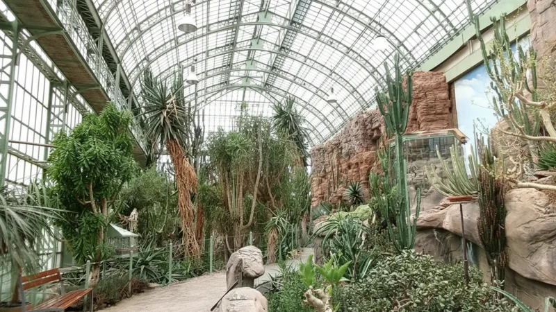 Desert House Schönbrunn – Desert Botanical Collection(4)