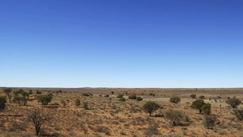 Desert_Photography_Spots_тАУ_Open_landscapes_03