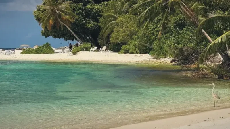 Dharavandhoo Beach – Quiet soft-sand beach(6)