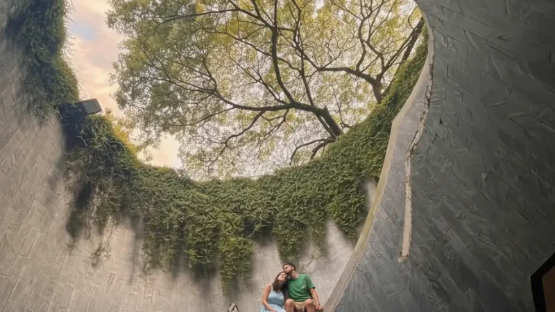 Dhoby Ghaut Green(3)