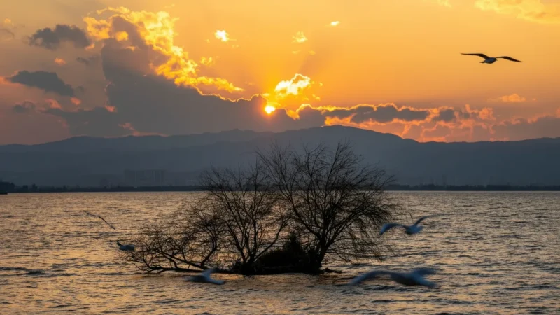 Dianchi Lake – Large freshwater lake with scenic views(2)