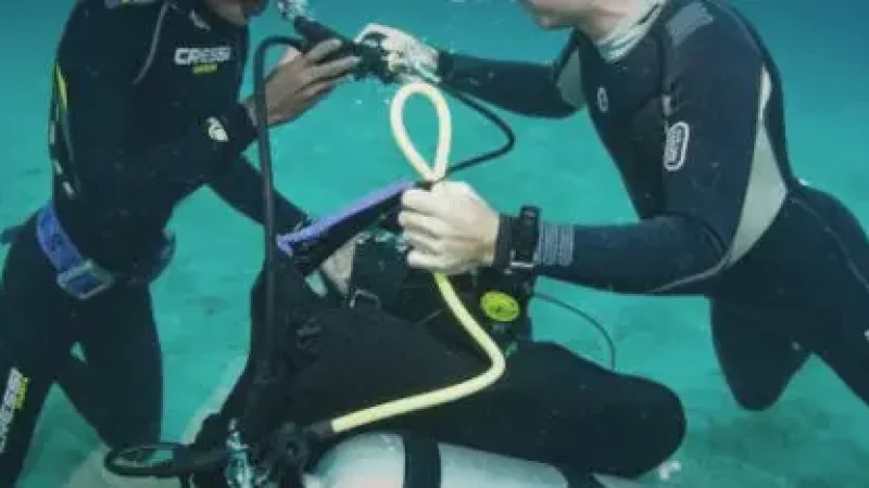 Dive Centre (Beginner Diving Spot)(2)