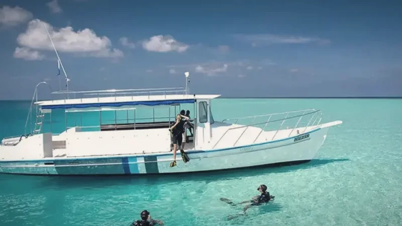 Dive Centre – Beginner-friendly diving programs(6)