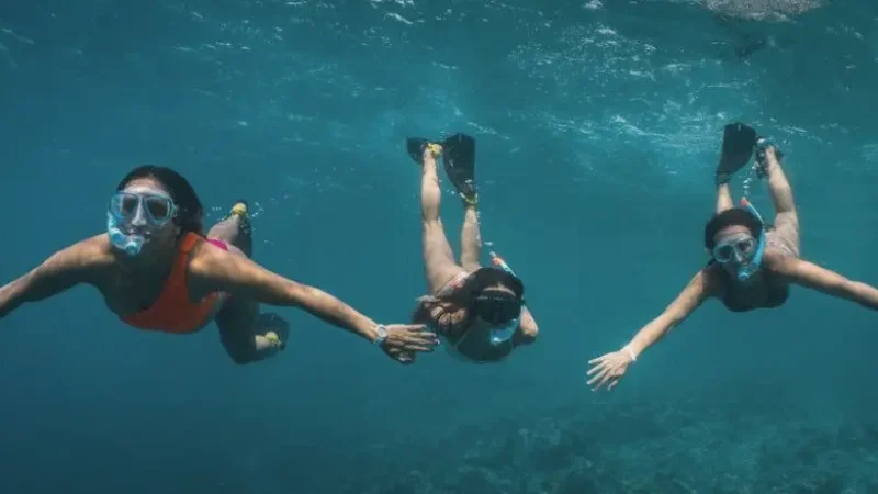 Dive Centre – Beginner-friendly diving(5)