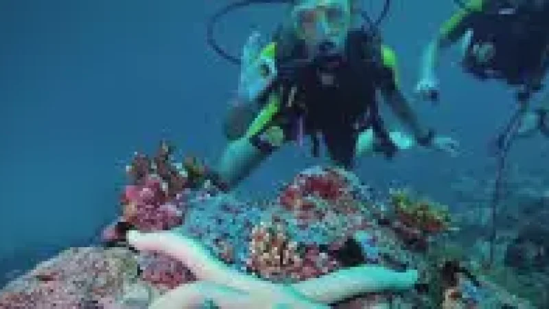 Dive Centre – Beginner-friendly(3)