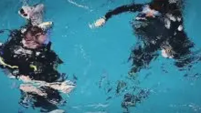 Dive Centre(4)