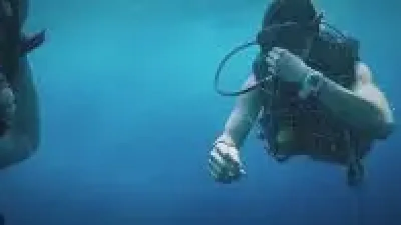 Diving Cent(1)
