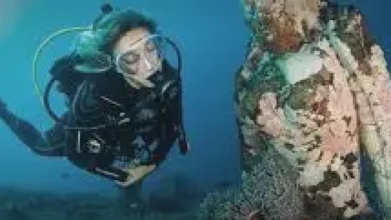 Diving Cent(4)