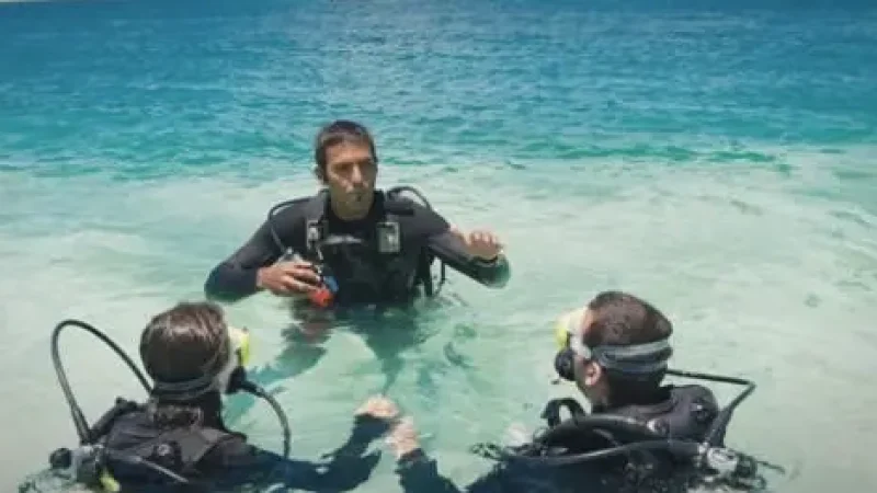 Diving Centre – Beginner-friendly diving options(3)