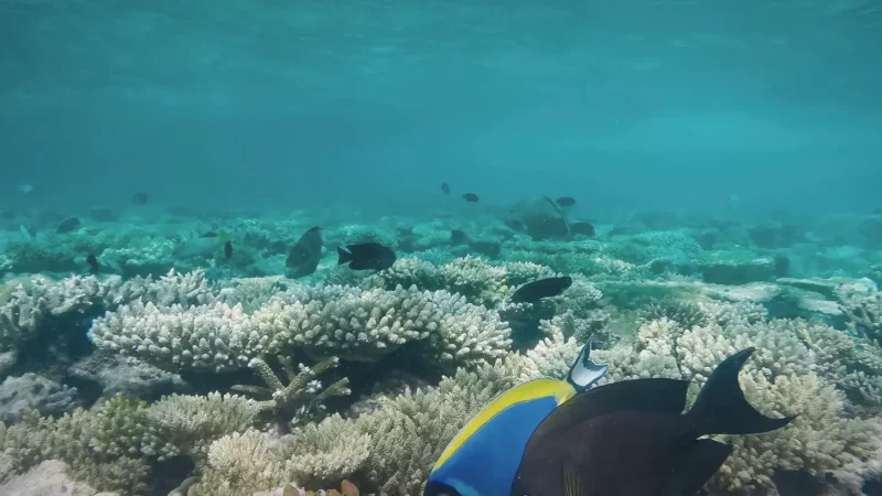 Diving Centre – Diving experience(6)