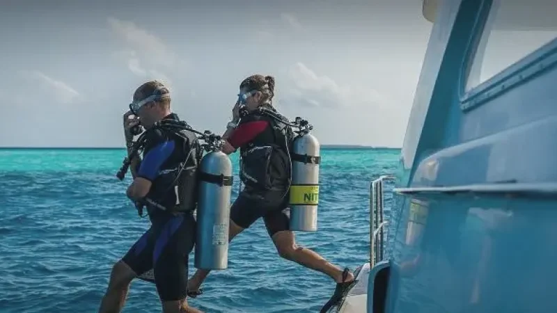 Diving Centre – Whale shark & manta diving(3)