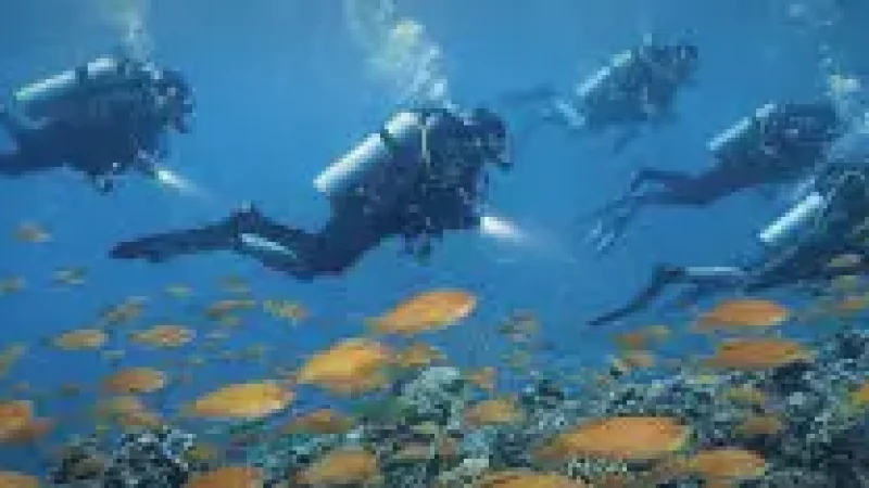 Diving Centre(3)