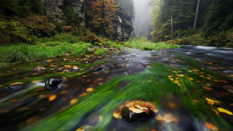 Divoká soutěska – Wild Gorge Walk(3)