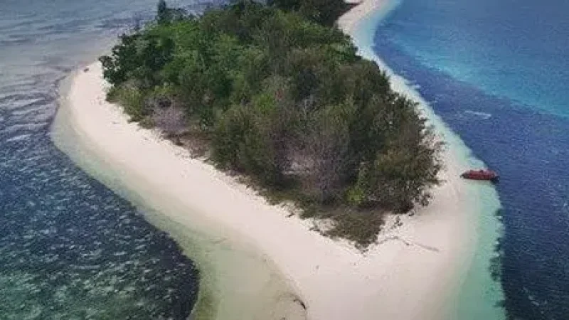 Dodola Island(5)
