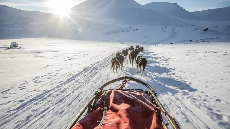 Dog Sledding Routes – Traditional Arctic Transport(5)
