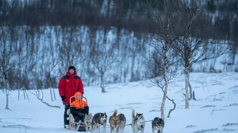 Dog Sledding Trails(5)
