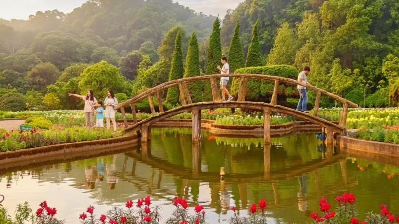 Doi Inthanon National Park(1)