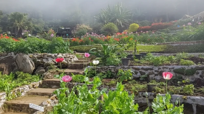 Doi Pui Hmong Village(1)