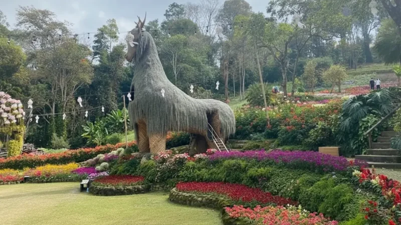 Doi Tung Royal Villa & Mae Fah Luang Garden(1)