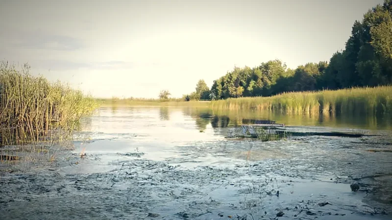 Dojlidy Ponds(5)