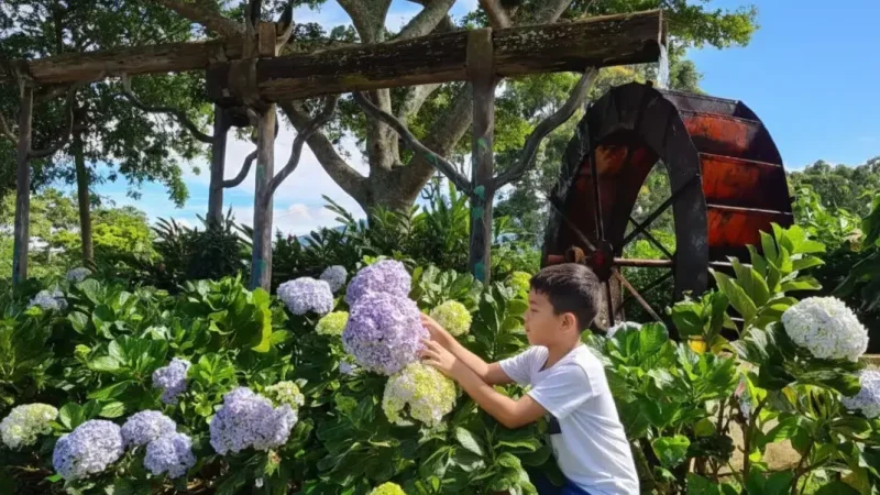 Doka Coffee Estate 03