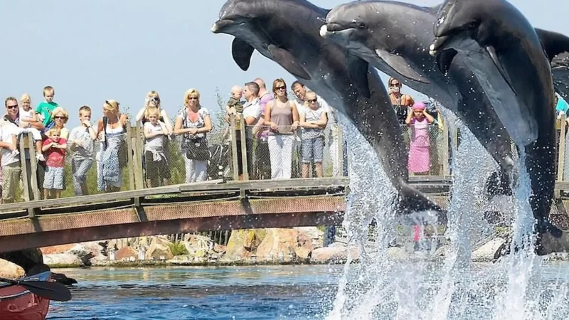 Dolfinarium_Harderwijk_03