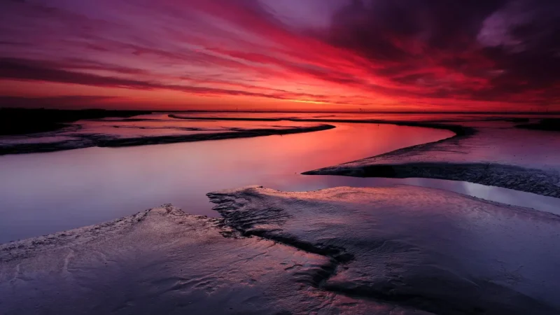 Dollard_Estuary_01