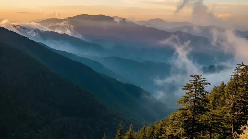 Doller Valley – Forests & rivers(4)
