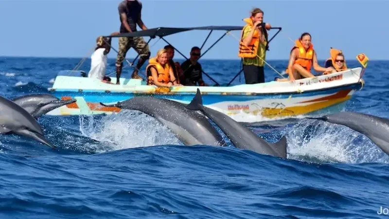 Dolphin Watching in Kalpitiya1