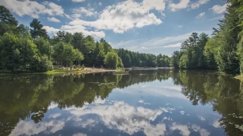 Domaine Saint-Bernard – Nature Park(3)