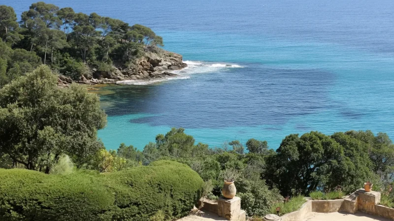 Domaine du Rayol – Mediterranean botanical garden(1)
