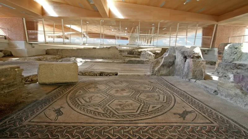 Domus del Chirurgo (Surgeon’s House)(2)