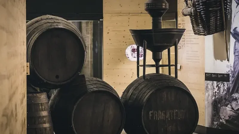 Douro Valley Wine Museum(6)