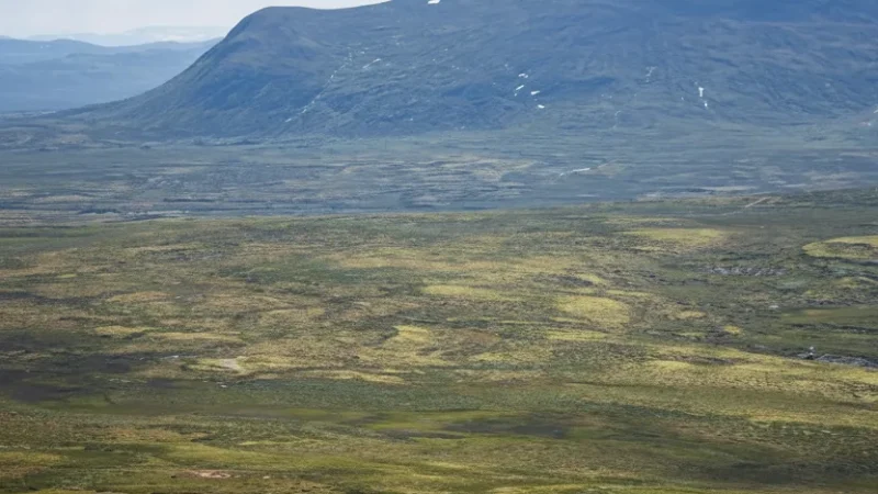 Dovrefjell-Sunndalsfjella National Park Access – Wildlife & Mountain Views(1)