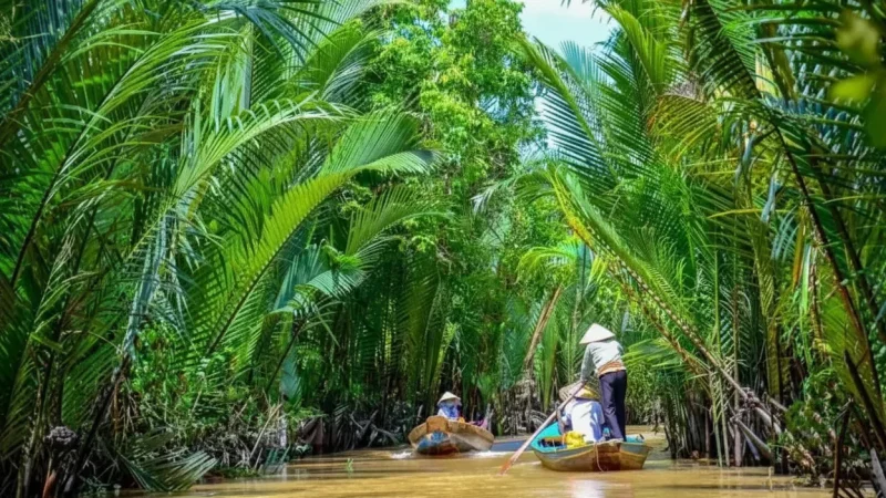 Dragon Island – Calm waterways and green landscapes(6)