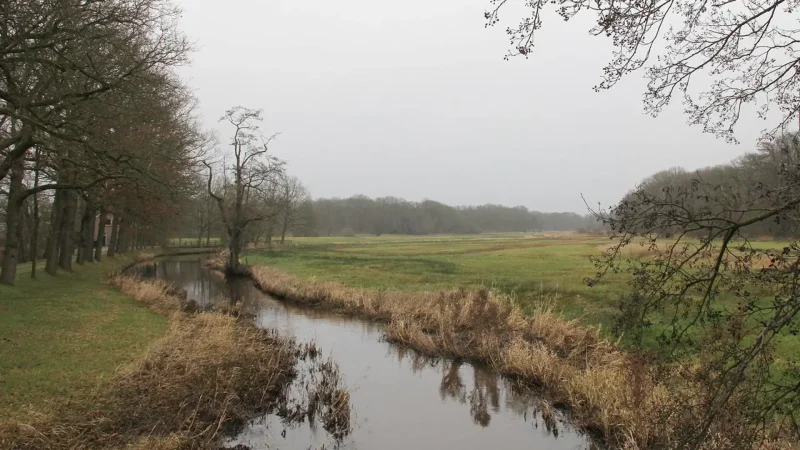 Drentsche_Aa_National_Park_02