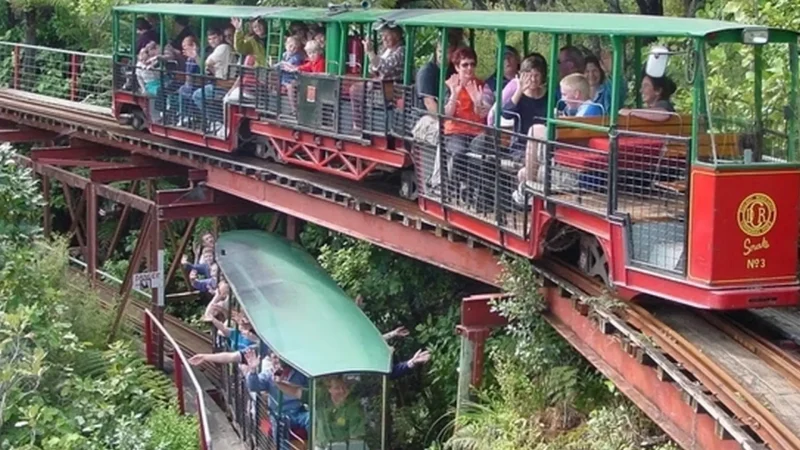 Driving_Creek_Railway_тАУ_Forest_train_journey_05