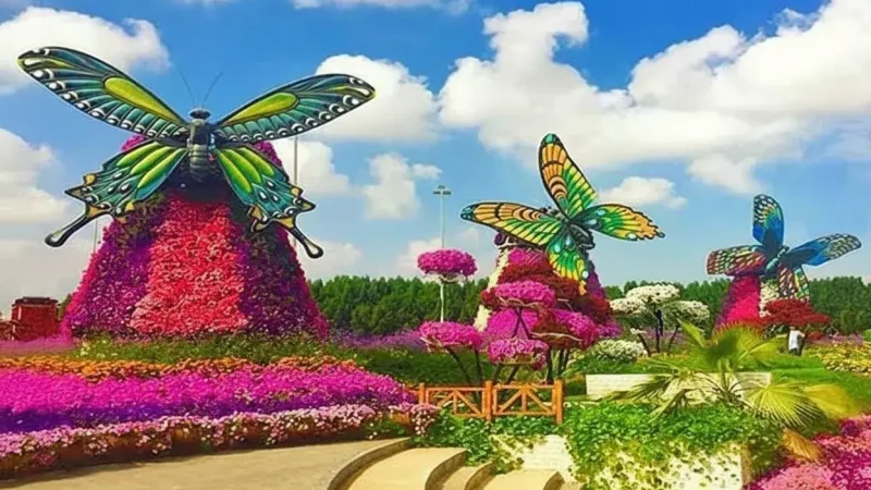 Dubai Butterfly Garden(1)