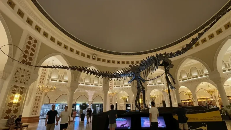 Dubai Dino Exhibit 04