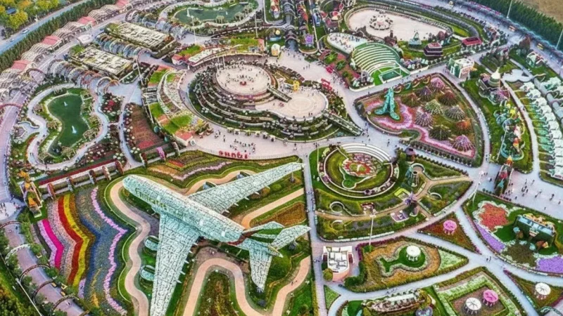 Dubai Miracle Garden(1)