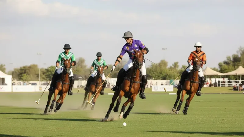Dubai Polo & Equestrian Club(4)