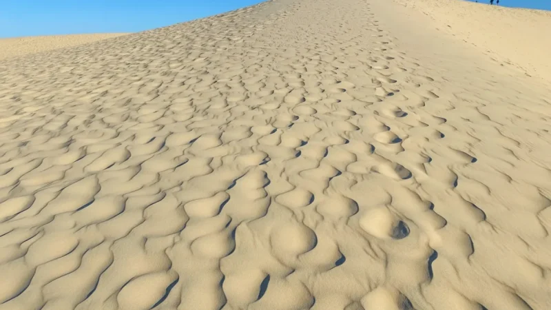 Dune du Pilat(2)