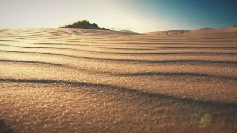 Dunes of Joaquina – Sand Dune Walks(6)