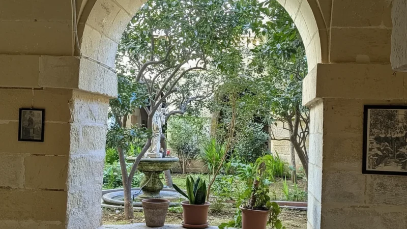 Early Morning Courtyard – Quiet Reflection Space(3)