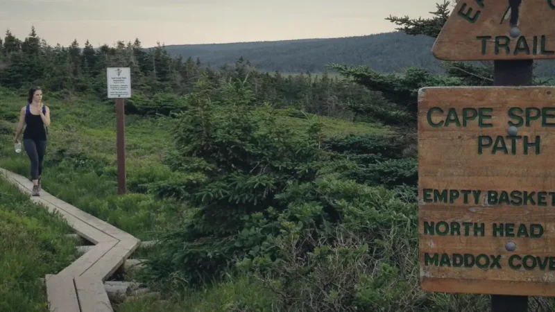 East Coast Trail Access Points – Coastal hiking routes(3)