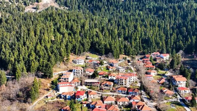 Elati_04
