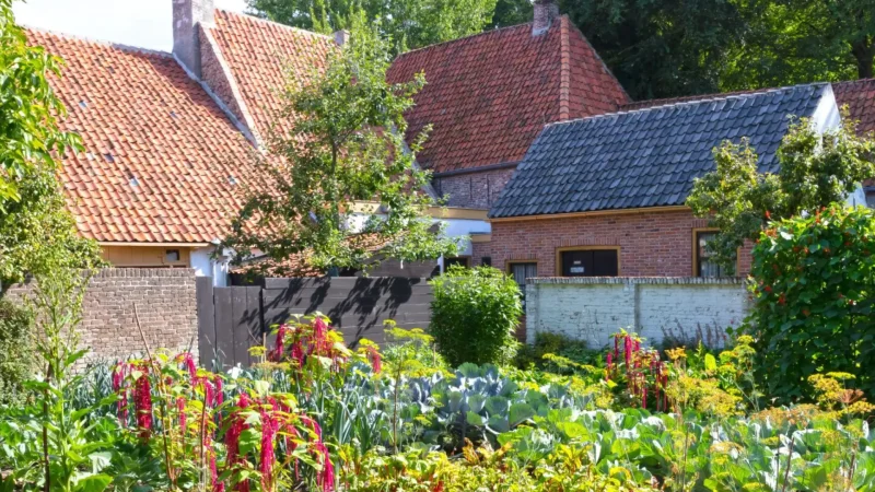 Elden_Village_04