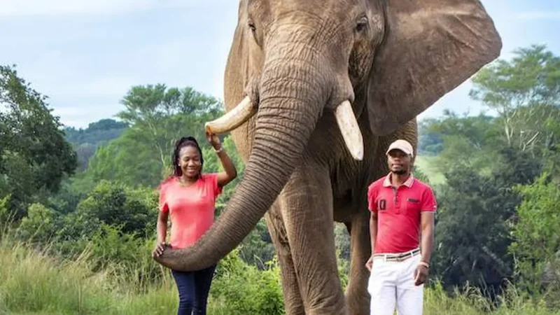 Elephant_Sanctuary_тАУ_Guided_elephant_experiences_03