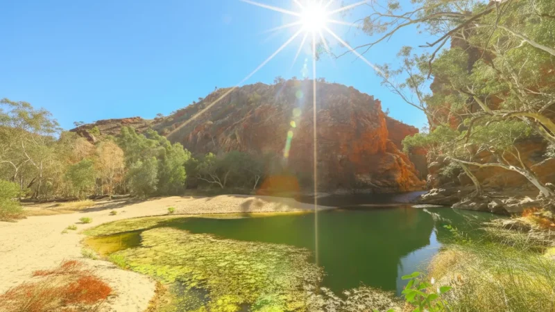 Ellery Creek Big Hole – Popular Swimming Spot(4)