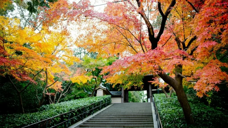 Engaku-ji Temple(1)